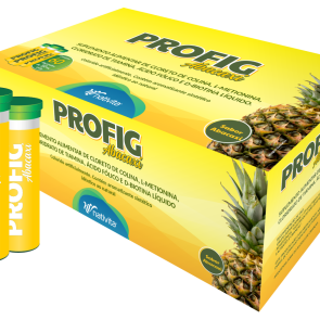 Profig